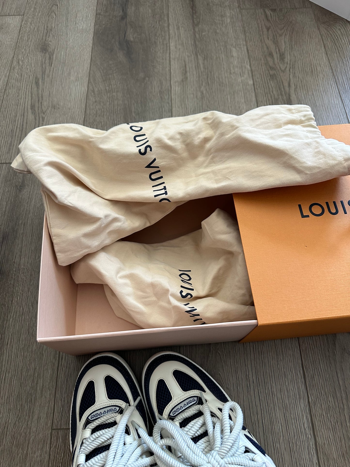 Louis Vuitton LV Skate Sneaker
Marine White