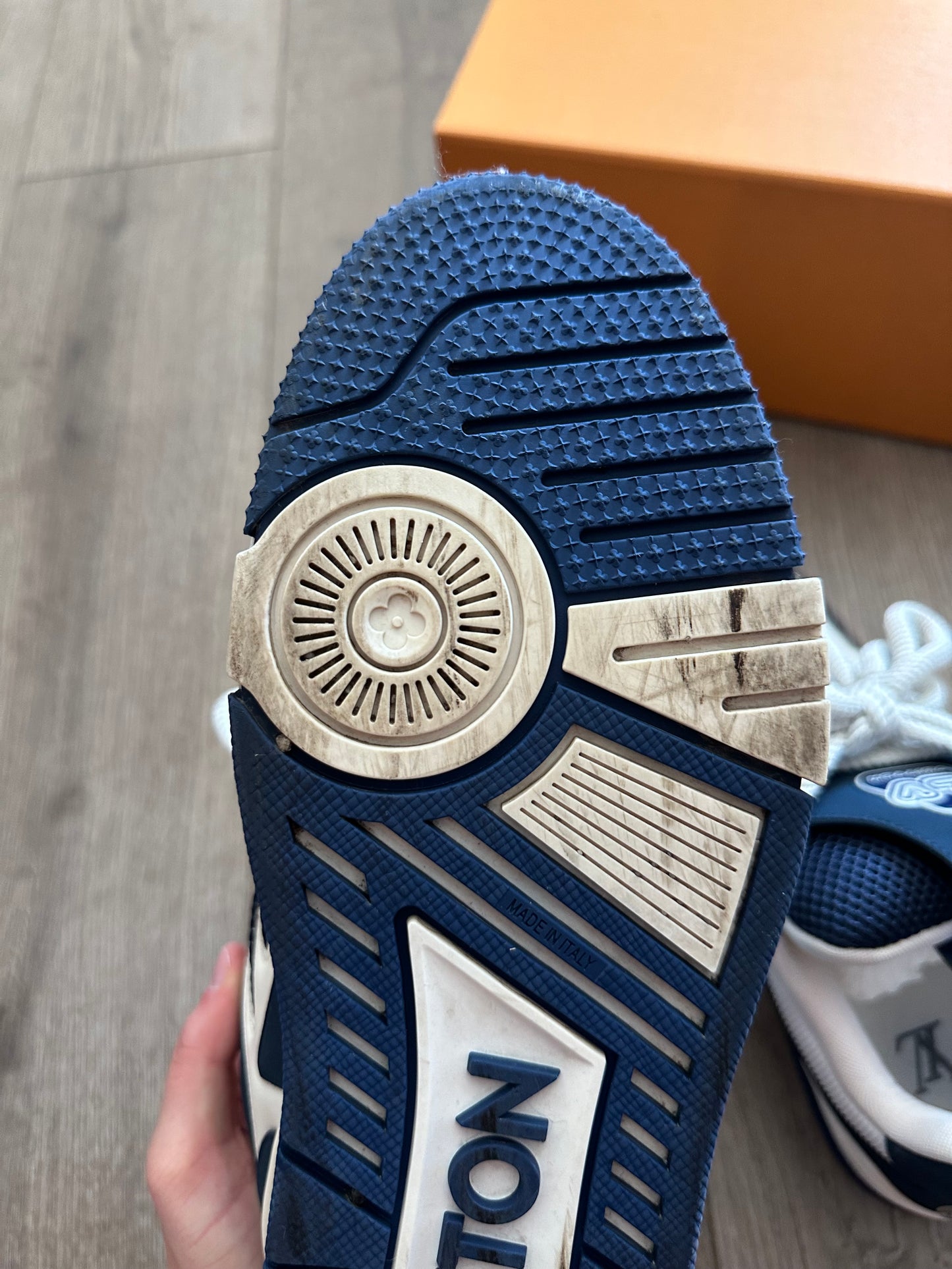 Louis Vuitton LV Skate Sneaker
Marine White