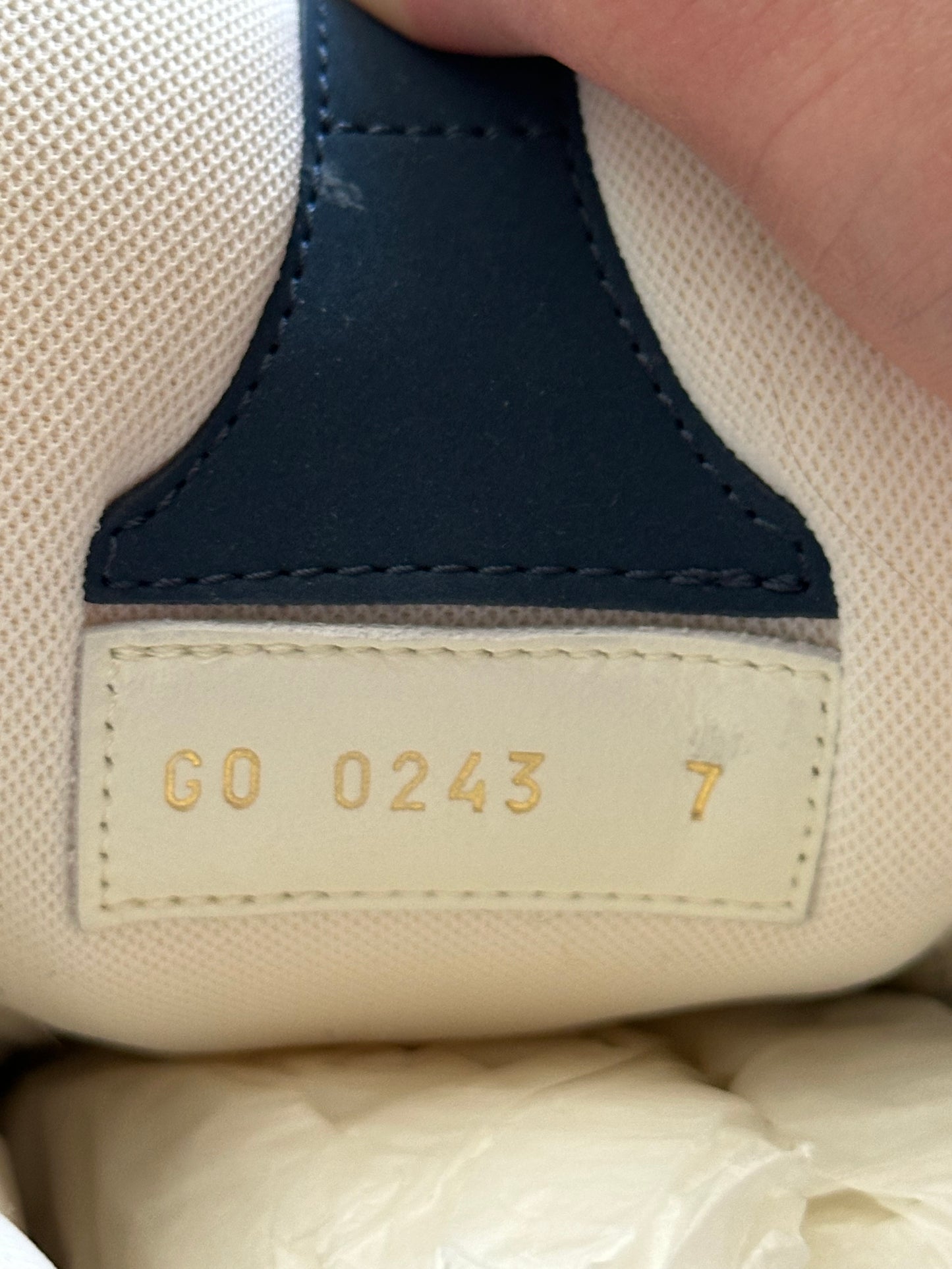 Louis Vuitton LV Skate Sneaker
Marine White