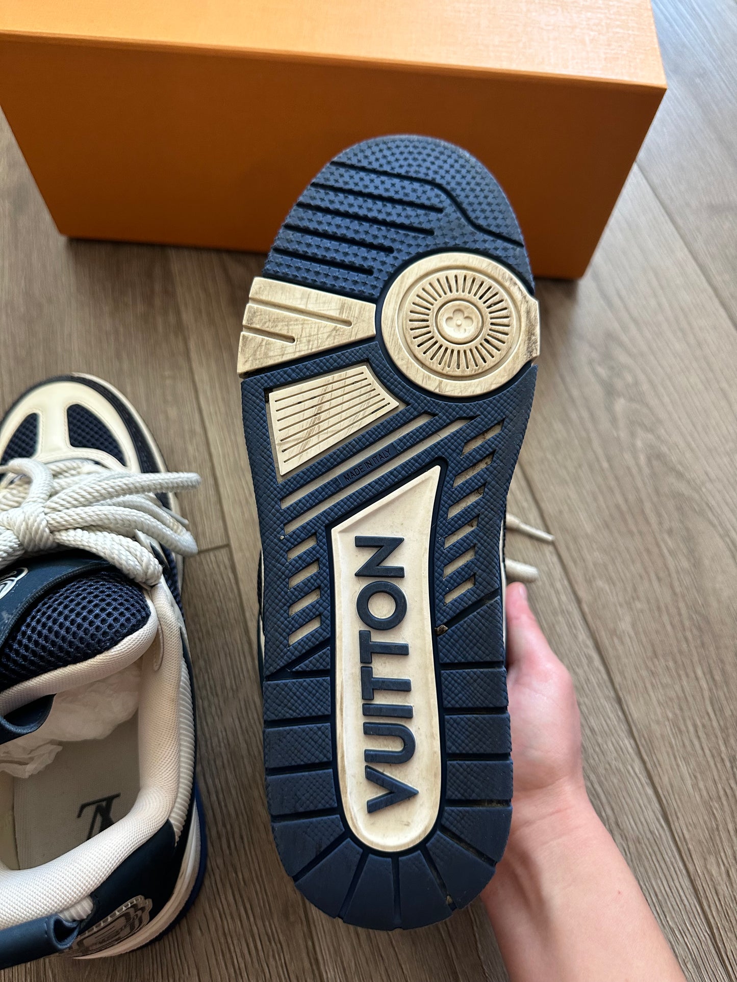 Louis Vuitton LV Skate Sneaker
Marine White